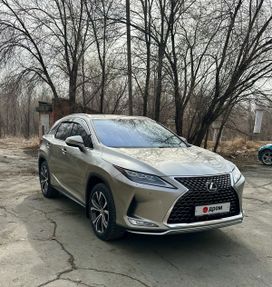  RX300, 2021