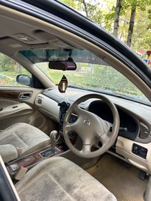 Малаховка Bluebird Sylphy Малаховка Bluebird Sylphy