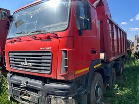   6516 2019 , 1396404 , 