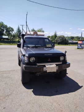  3  Mitsubishi Pajero 1991 , 350000 , 