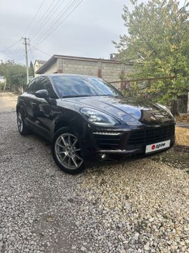  Macan, 2016