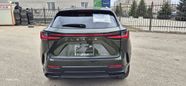 SUV   Lexus NX250 2023 , 6000000 , 