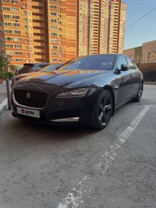  XF, 2016