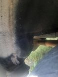  Toyota Carina 1992 , 285000 , 