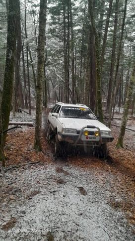  Subaru Leone 1990 , 300000 , 