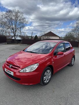  Peugeot 307 2004 , 300000 , 