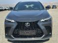 SUV   Lexus NX350 2022 , 5600000 , --