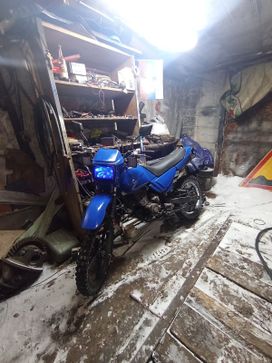   Irbis Intruder 2011 , 80000 , 