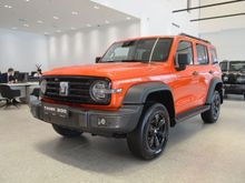 ������ 300, 2025