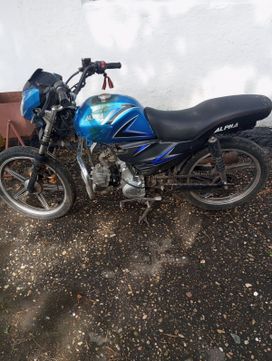  Alpha 110 2023 , 40000 , 