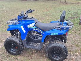   Mikilon Hammer 200A 2023 , 193500 , 