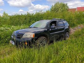 SUV   Mitsubishi Endeavor 2003 , 599000 , 