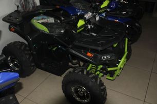   Motoland Wild Track Pro 2024 , 129900 , 