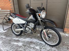  Djebel 250, 2008