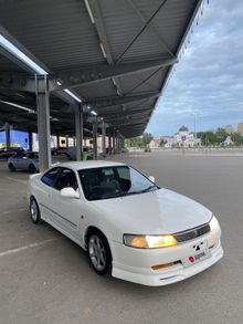  Corolla Levin