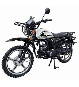  Motoland Alpha Forester RS 11 2024 , 85950 , 