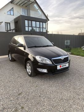  Skoda Fabia, 2012