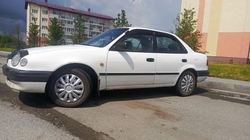  Toyota Corolla 1999 , 255000 , 