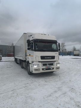 Седельный тягач КамАЗ 5490-NEO 2017 года, 2700000 рублей, Пермь