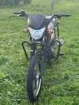 Alpha 110 2021 , 55000 , 