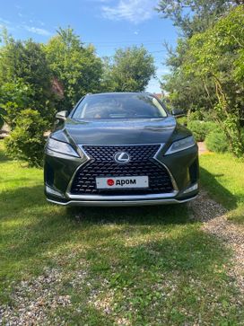 SUV   Lexus RX300 2020 , 4300000 , 