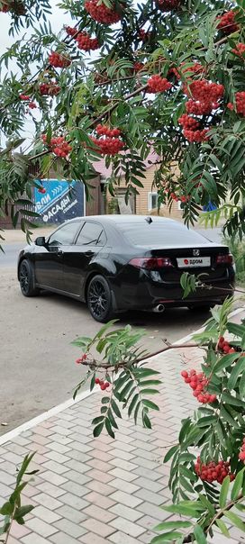  Honda Accord 2008 , 1230000 , 