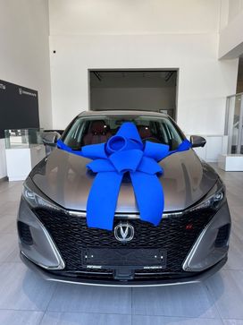  Changan Eado Plus 2024 , 2509900 , 