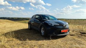  C-HR, 2019