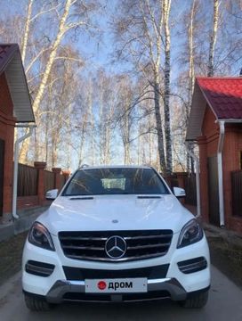 SUV   Mercedes-Benz M-Class 2014 , 3600000 , 