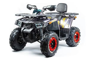  Wild Track X, 2024