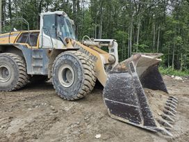   Liebherr L 580 2016 , 7500000 , 