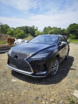  Lexus RX300, 2020
