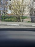  Ford Focus 2019 , 1800000 , 