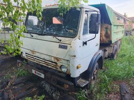   55111 1982 , 100000 , 