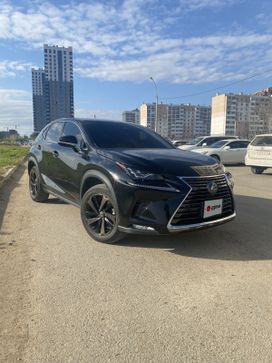 SUV   Lexus NX300 2018 , 3100000 , 