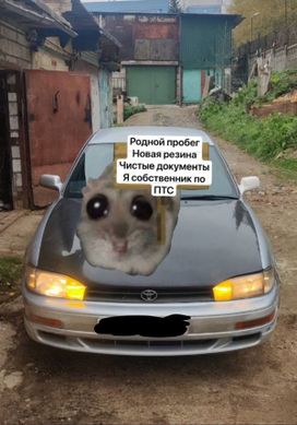  Toyota Scepter 1993 , 220000 , 