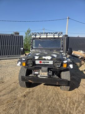  3  Toyota Blizzard 1985 , 500000 , 