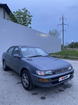  Toyota Corolla 1993 , 290000 , 