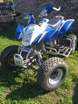   Irbis ATV250S 2013 , 170000 , 
