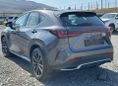 SUV   Lexus NX350 2022 , 5600000 , --