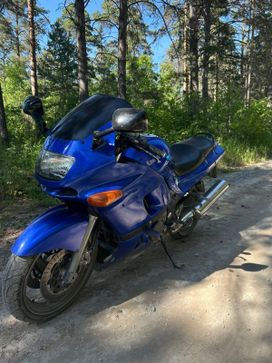 -  Kawasaki ZZR 400 2 2003 , 310000 , 