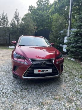 SUV   Lexus NX300 2021 , 4250000 , 