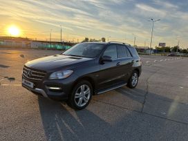 SUV   Mercedes-Benz M-Class 2012 , 2100000 , 
