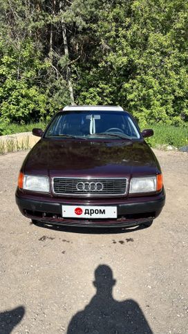  Audi 100 1991 , 315000 , 