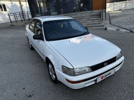  Toyota Corolla 1993 , 280000 , 