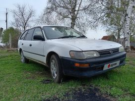  Toyota Corolla 1998 , 175000 , 