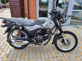   Regulmoto Viking 2024 , 109950 , 