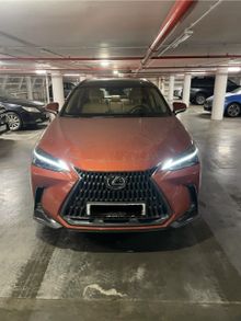  NX250, 2023