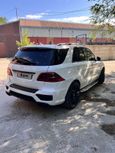 SUV   Mercedes-Benz M-Class 2014 , 2600000 , 