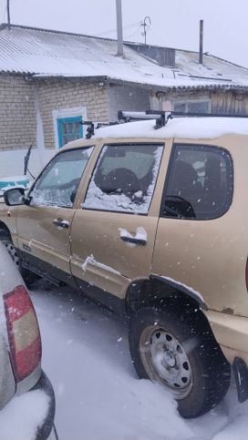 SUV ��� ����������� Chevrolet Niva 2005 ����, 240000 ������, �������